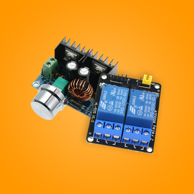 Electronic Modules